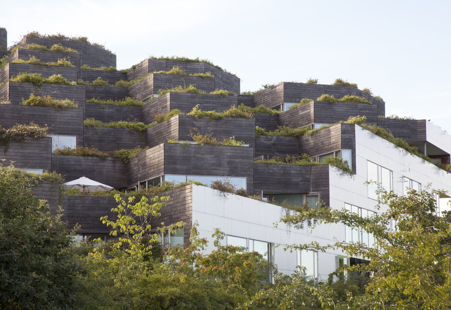 Biodiversitet & certificeringer